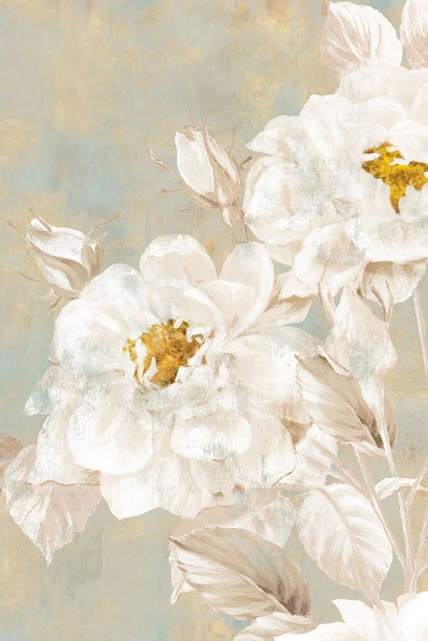 White Rose II Poster Print by Eva Watts - Item # VARPDXEW213A